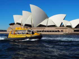 Water Taxis Passing the Opera House