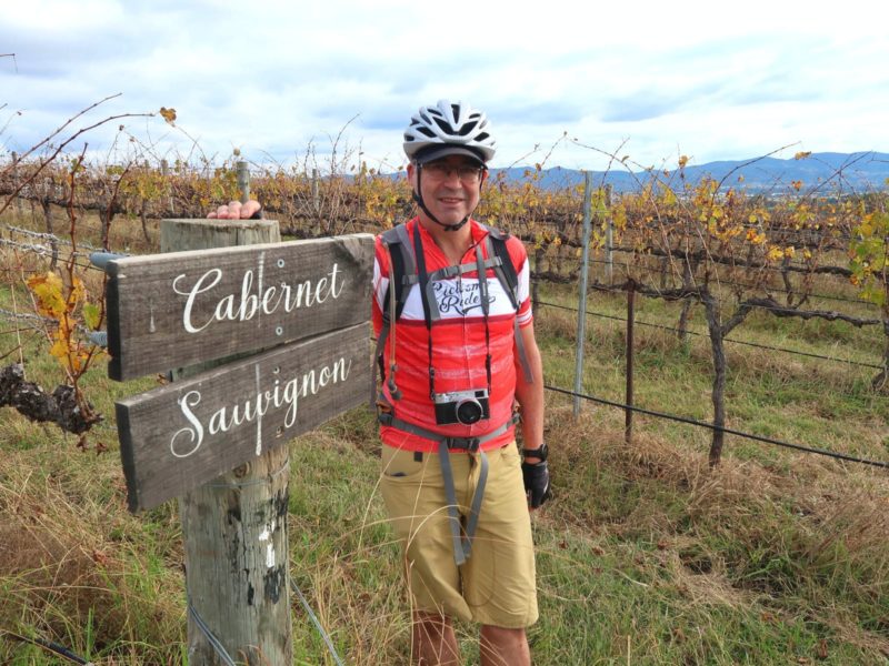 Cyclist in the Cabernet Sauvignon vines at a vineyard in Mudgee