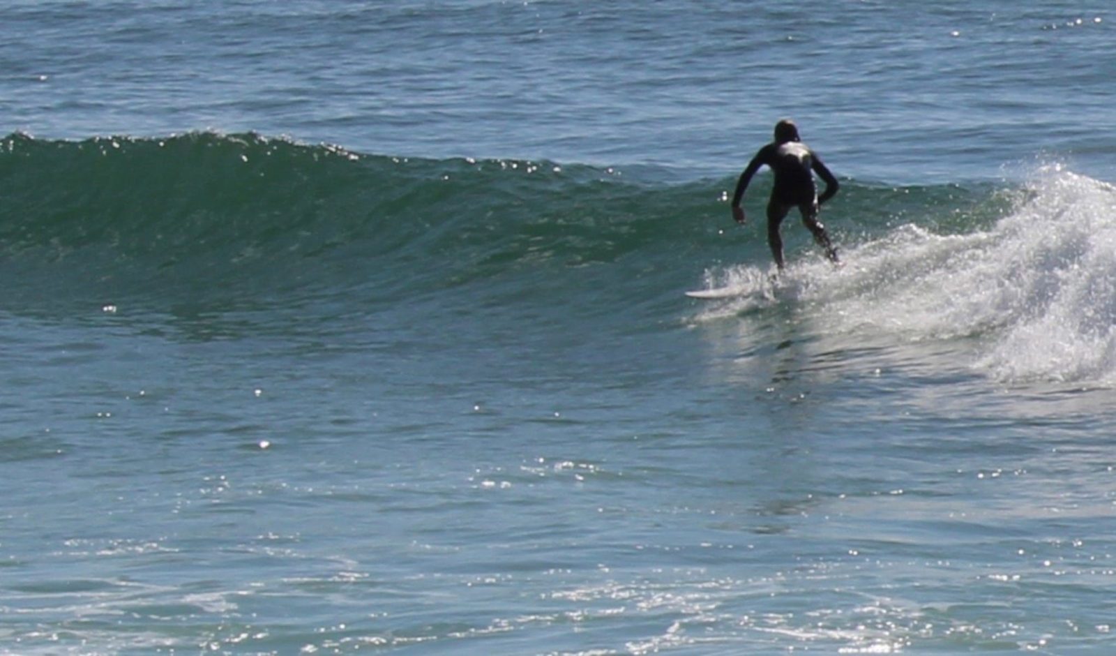 Surfer surfing wave