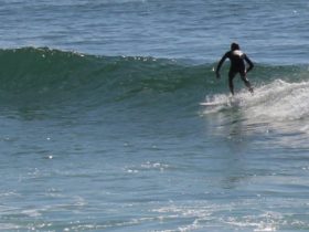 Surfer surfing wave