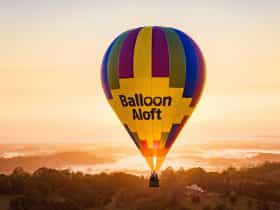 Sunrise Balloon Flight over Byron Bay
