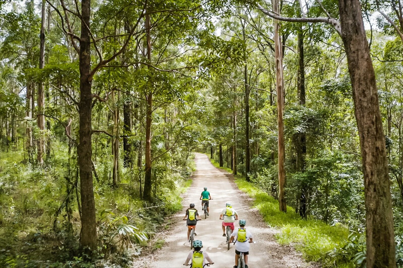 Drone shot of a group of cyclists on E Bikes on a gravel road amongst the trees in National Park