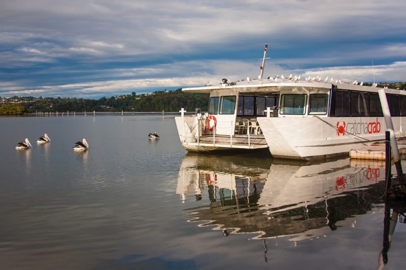 Cruise the scenic River on a half day tour