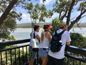 Lake views on Conjola tours
