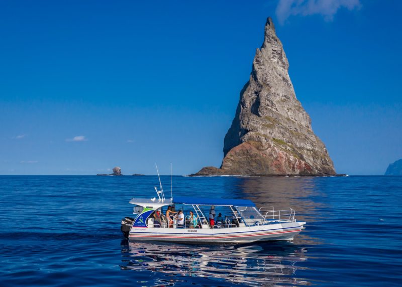 Onboard Reef N Beyond you will snorkel the best locations & see the amazing endemic marine life.