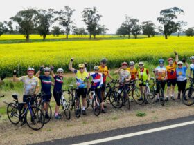 west new canola riders