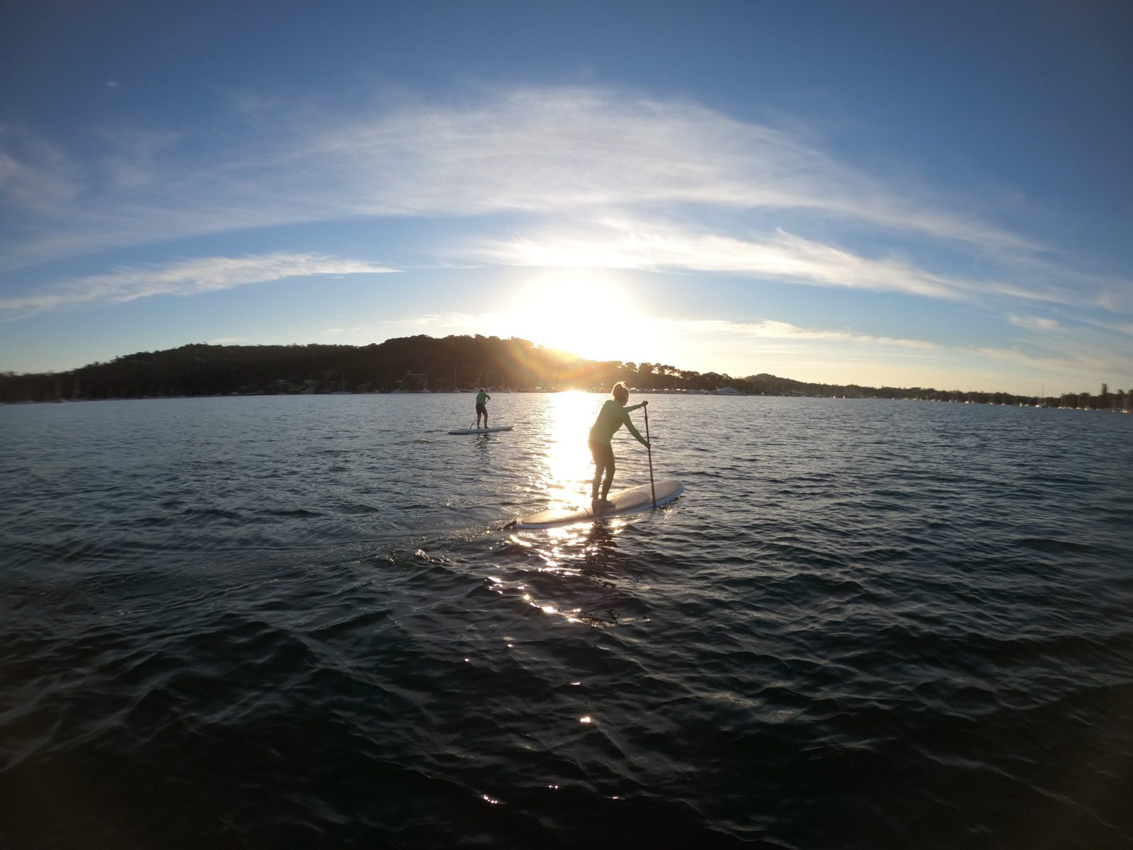 Sunrise paddle boarding Pittwater