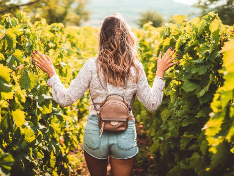 Tourist walking between Grape Vines wearing a backpack