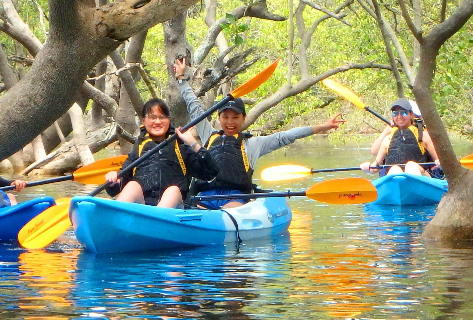 Kayak Mangrove Tour