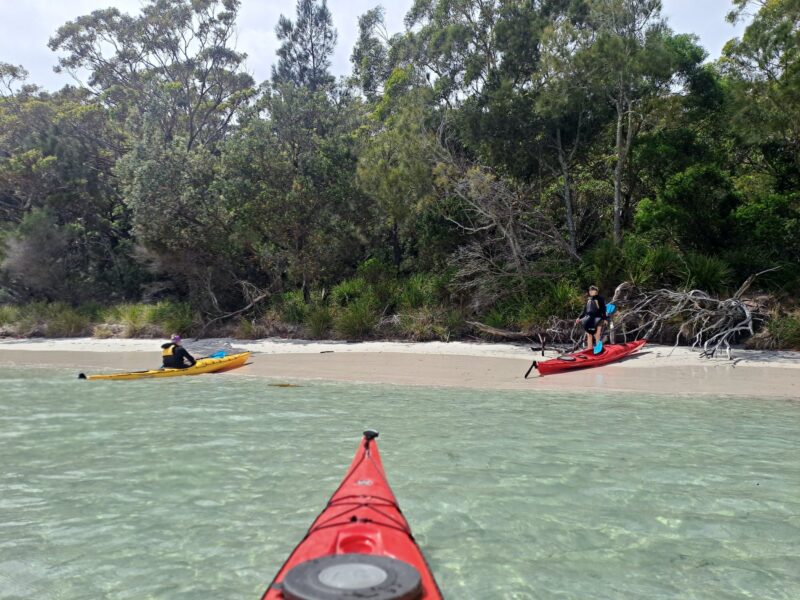 Seak Kayak Tour Private Beach