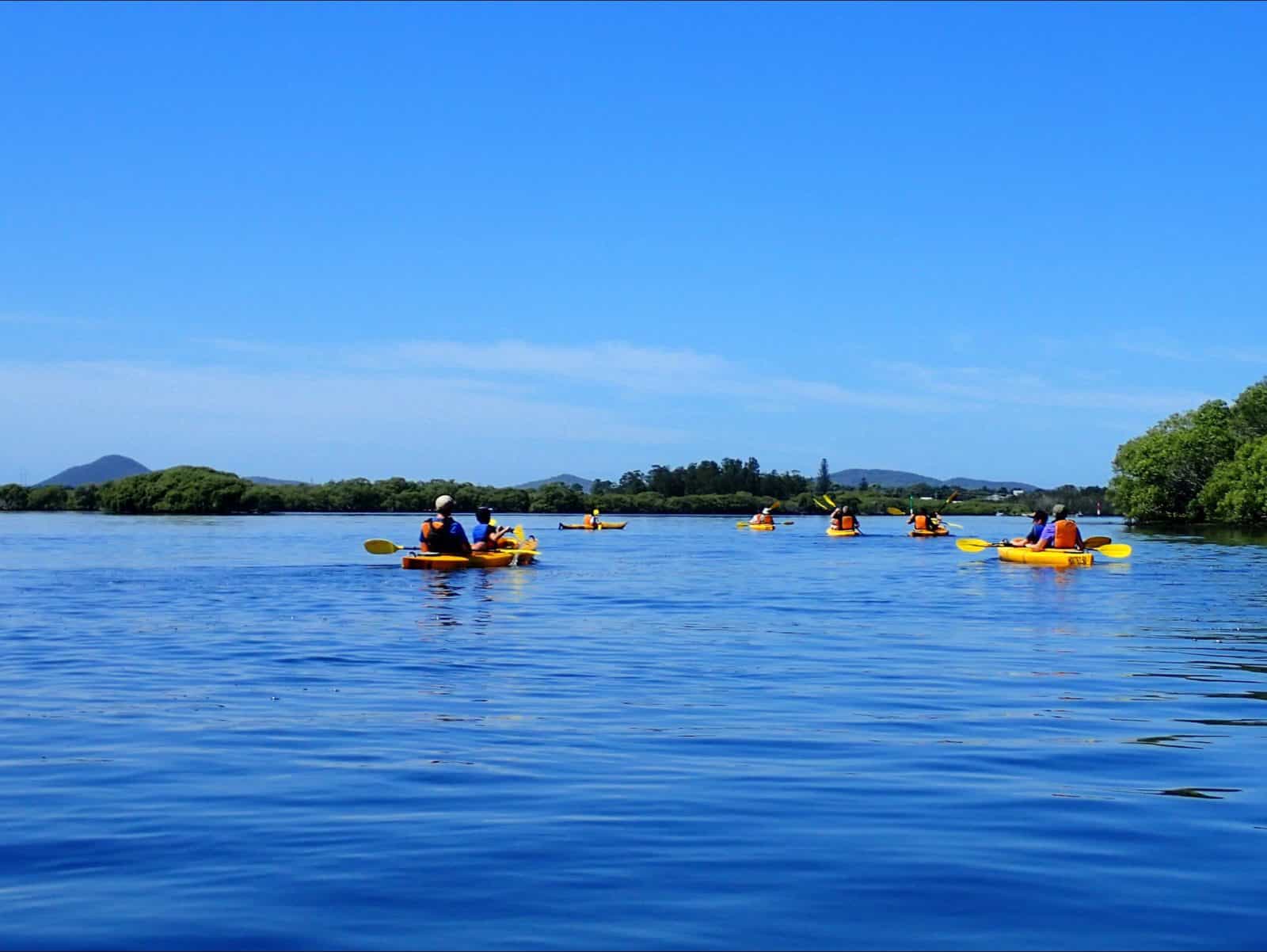Tour group paddling on the Myall River with Lazy Paddles