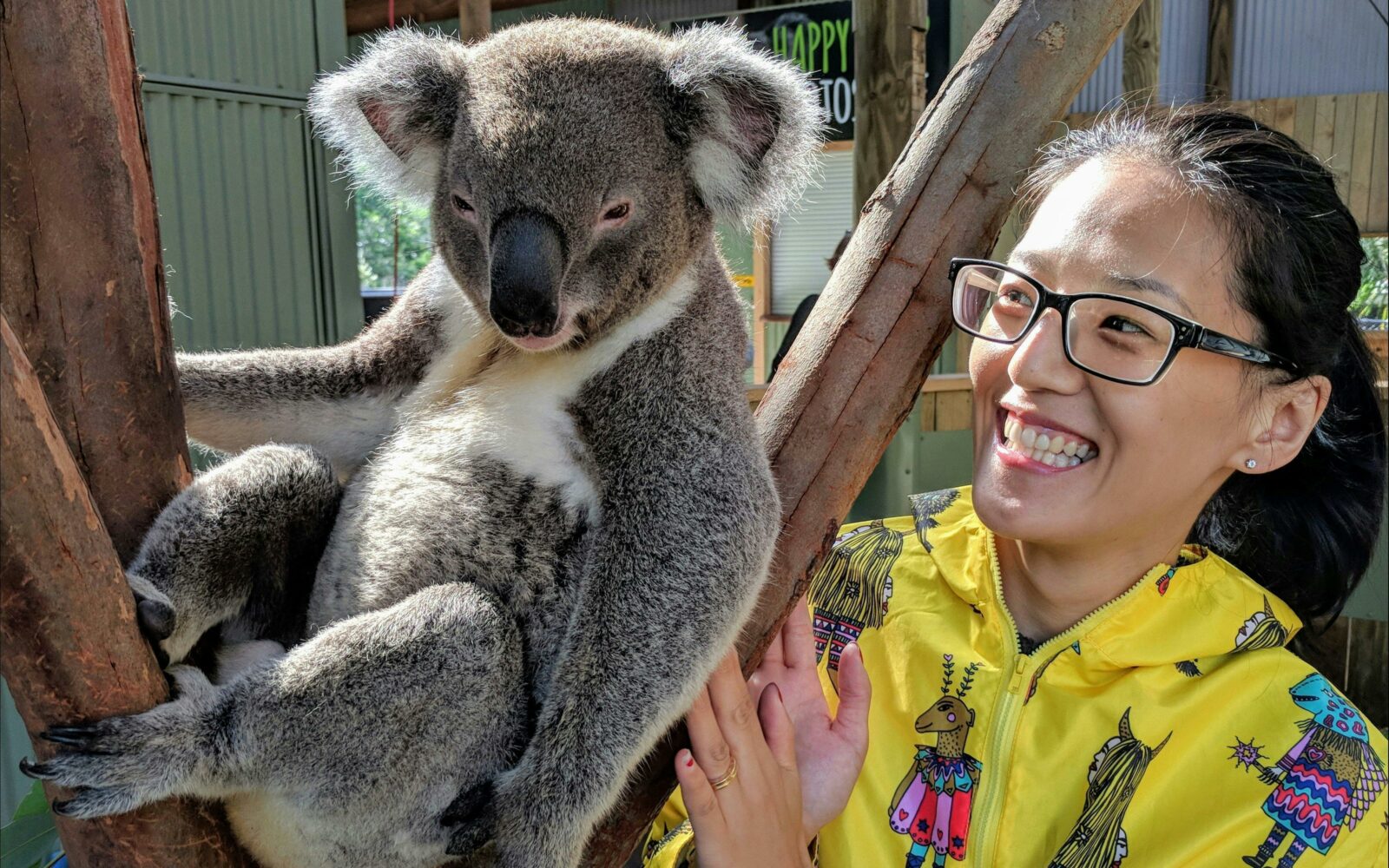 Private koala experience, Wildlife, Waterfalls & Wine full day tour from Sydney