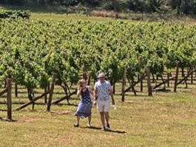 Secret Vines Experience - Top Shelf Local Experience in Port Macquarie