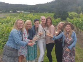 group laughing in vineyards