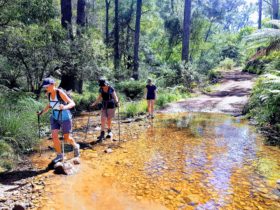 Braving the rapids on the Pack-Free Six Foot Track Walk by Life's an Aventure