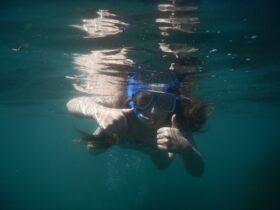 Snorkel Selfie Batemans Bay Region X