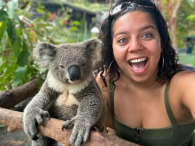 koala with woman