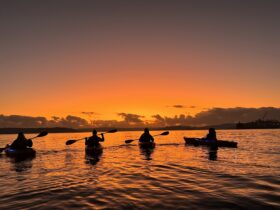 kayakers enjoying the first glowing orange rays of the sun