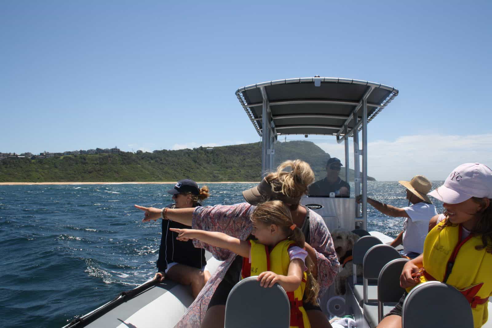 Whale watching Terrigal Central Coast NSW boat trip boat charter Terrigal