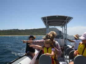Whale watching Terrigal Central Coast NSW boat trip boat charter Terrigal