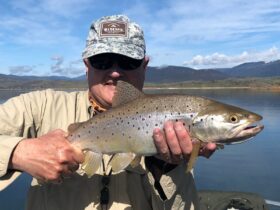 fishing-fly-trout-snowy-mountains-cooma-jindabyne-eucumbene-lake-tasmania-mick-couvee-troutfit-guide