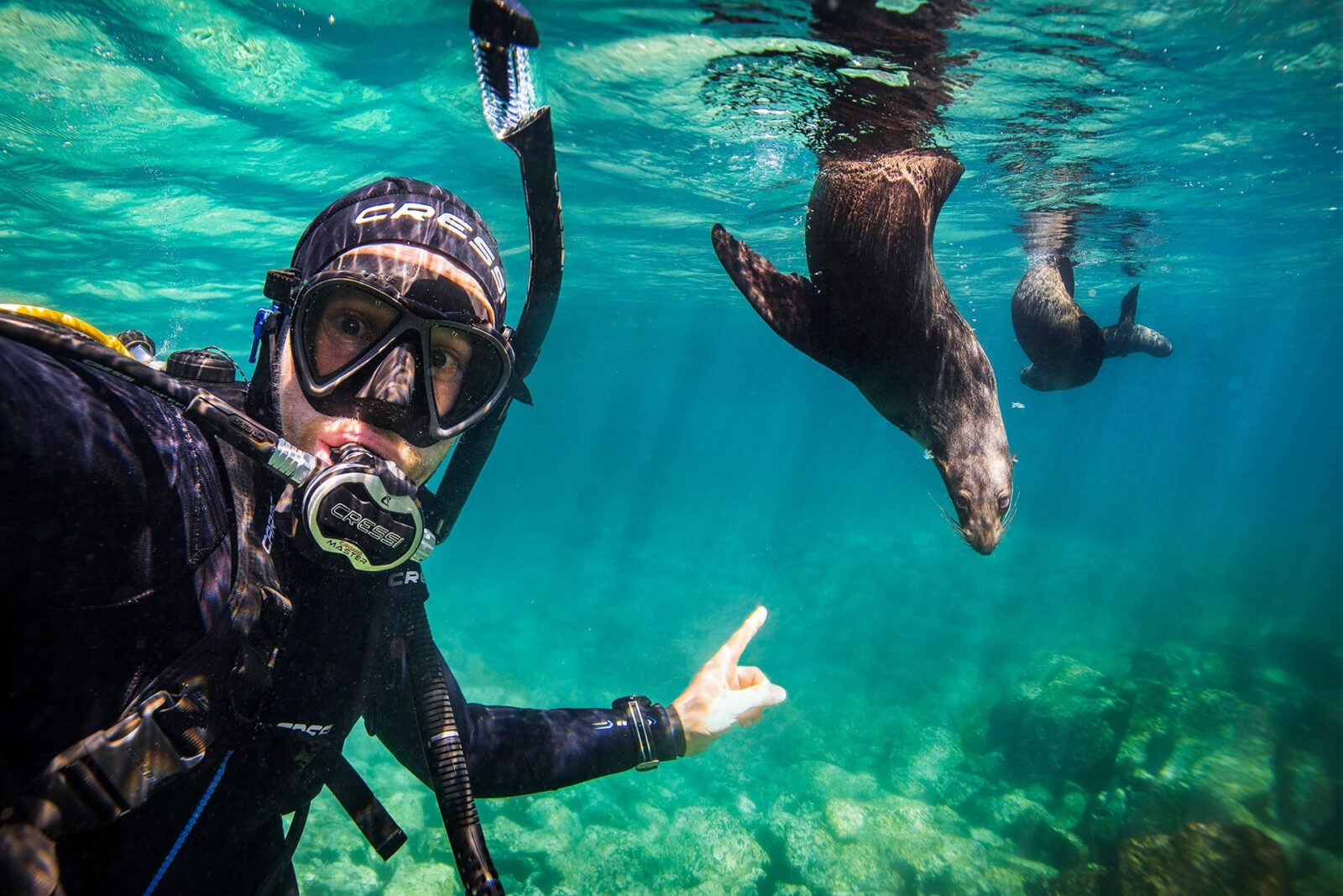 underwater safaris narooma
