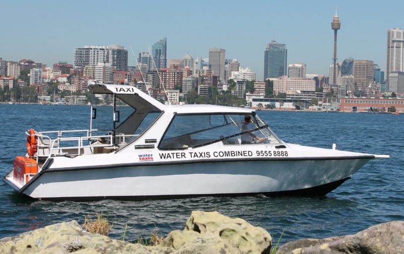 Limousine Water Taxi at Clark Island