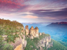 Wildlife Tours, Blue Mountains Sunset, Katoomba, Three Sisters, nature, wildlife, waterfalls, scenic