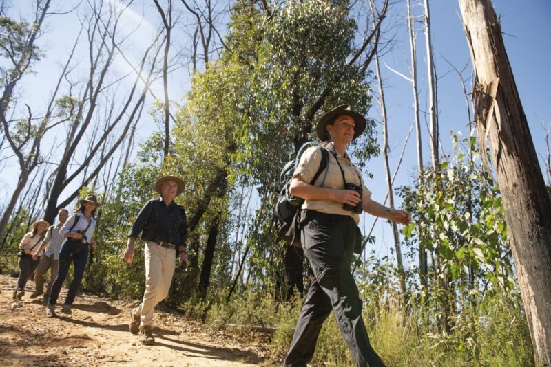 Our knowledgeable local guide leading guests along a gum tree lined trail.