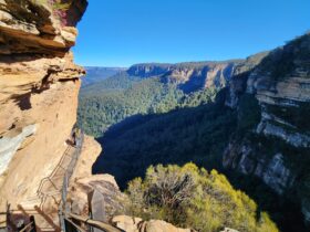 Blue Mountains Interpretive Hiking Tours