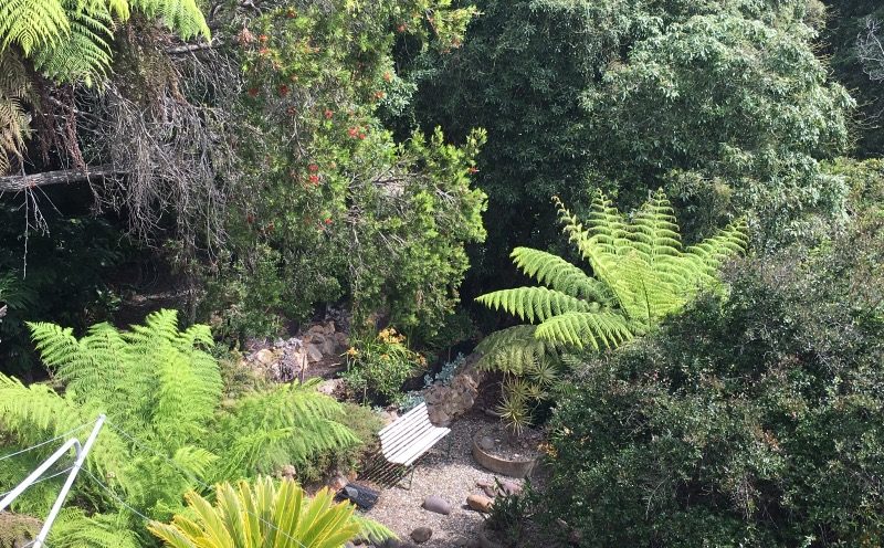 Semi tropical garden at the rear of the house