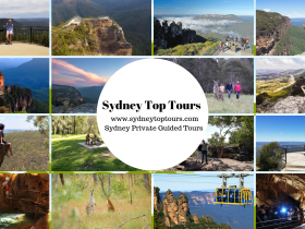 Sydney Private Tours