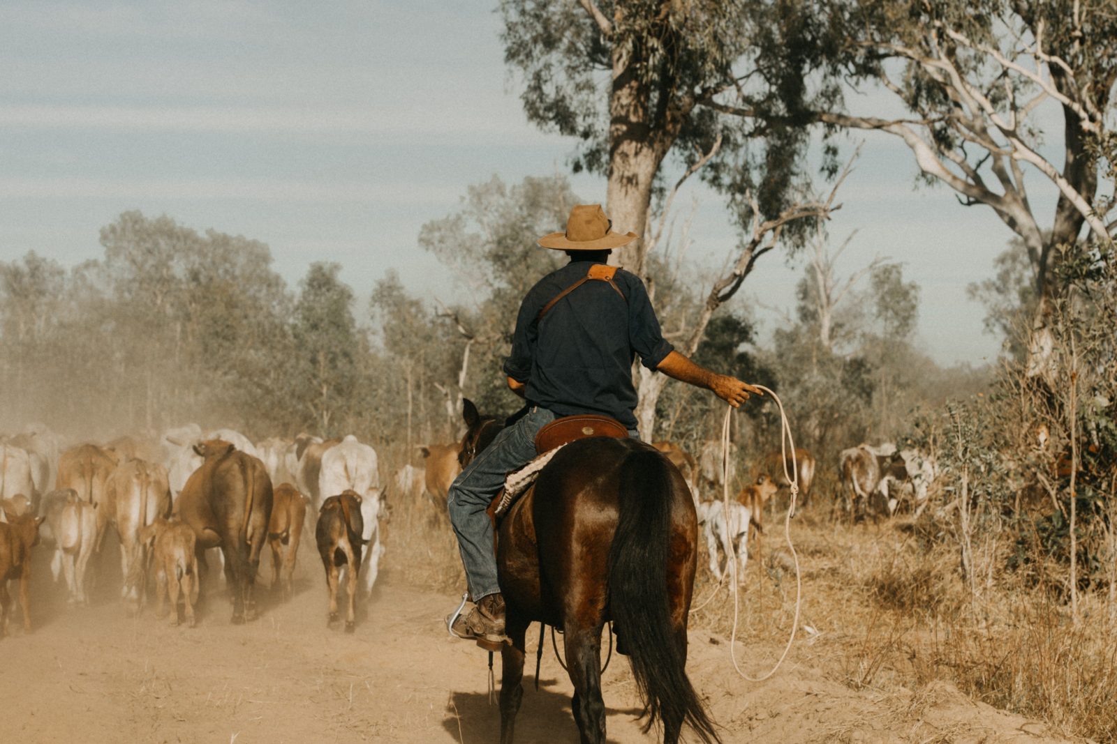 Immerse yourself in a working cattle station and see what goes on