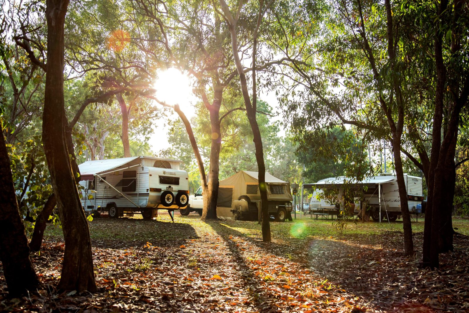 Camping beside the billabong under the trees