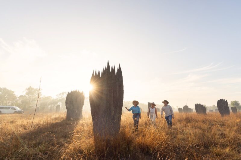 On tour at Finniss River Lodge the Magnetic Termite Mounds are a Favourite!
