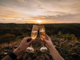 photo of champagne glasses clinking at sunset