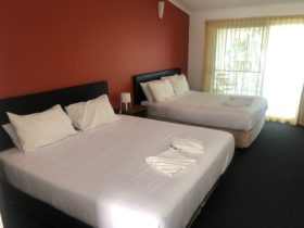 Lakeview Twin Room