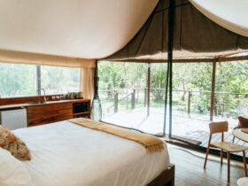 Glamping tents have an ensuite, kitchenette, BBQ, fridge, microwave, & comfy King bed!