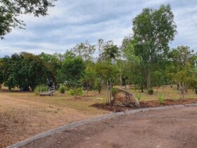 Entrance and Exit for 'Paperbark Stay' Left onto dirt track