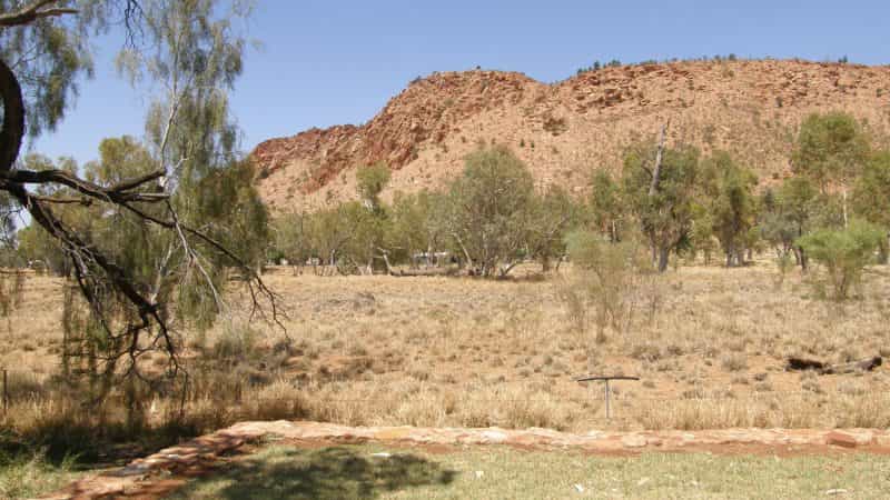 Alice Springs, caravan park, camping, rural, nature, desert, accomodation, quiet, safe, wildlife