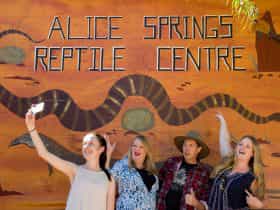 Alice Springs Reptile Centre has the largest collection of reptilian life in Central Australia