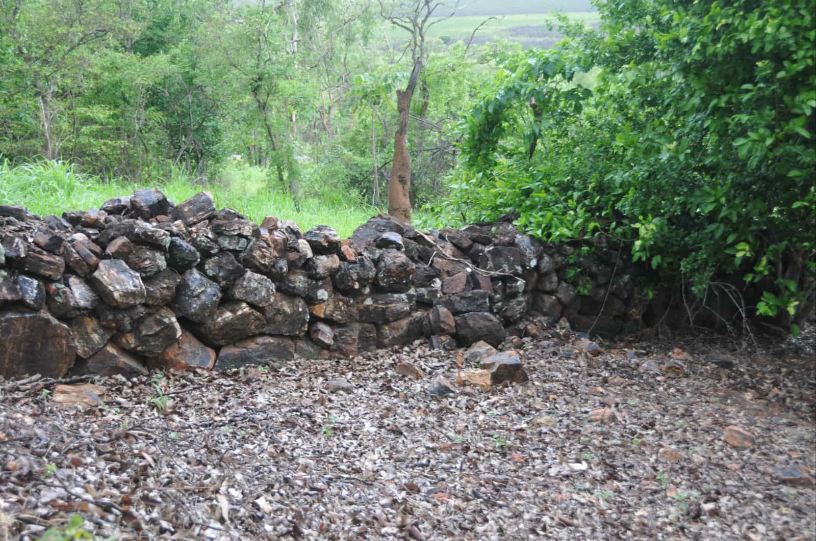 Dry stone wall remnants at Beatrice Hill Well.