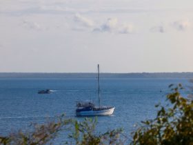 View from Esplanade