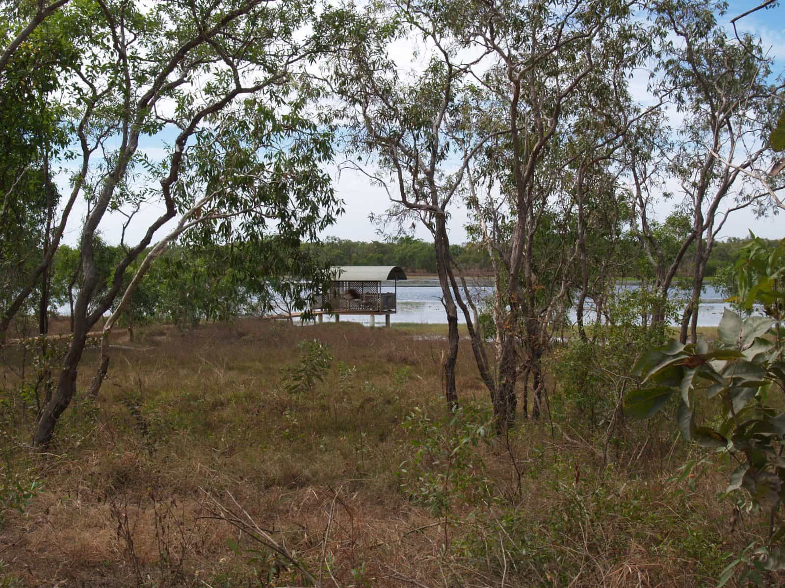 Bird Billabong, Mary River area, Northern Territory, Australia