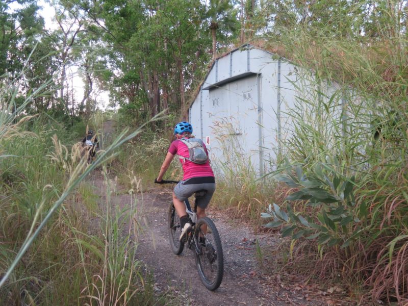 Person mountain biking on track at the Charles Darwin National Park