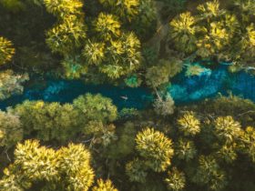 Aerial view of a girl floating in Bitter Springs