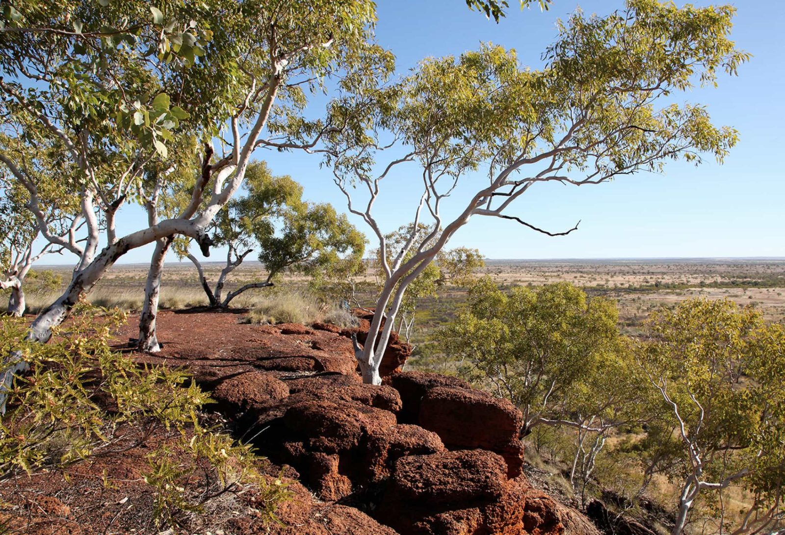 Magnificent panorama from the red earth mesa, Mount Possum, looking west towards Kalkarindji.