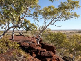 Magnificent panorama from the red earth mesa, Mount Possum, looking west towards Kalkarindji.