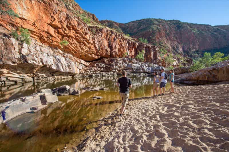 A group looking at the waterhole in Ormiston Gorge