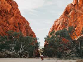 A woman walking in the dry river bed towards the enormous red escarpments of Simpsons Gap